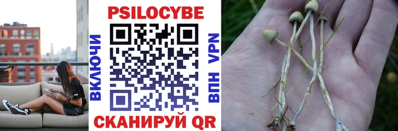 Псилоцибиновые грибы GOLDEN TEACHER  Плёс 